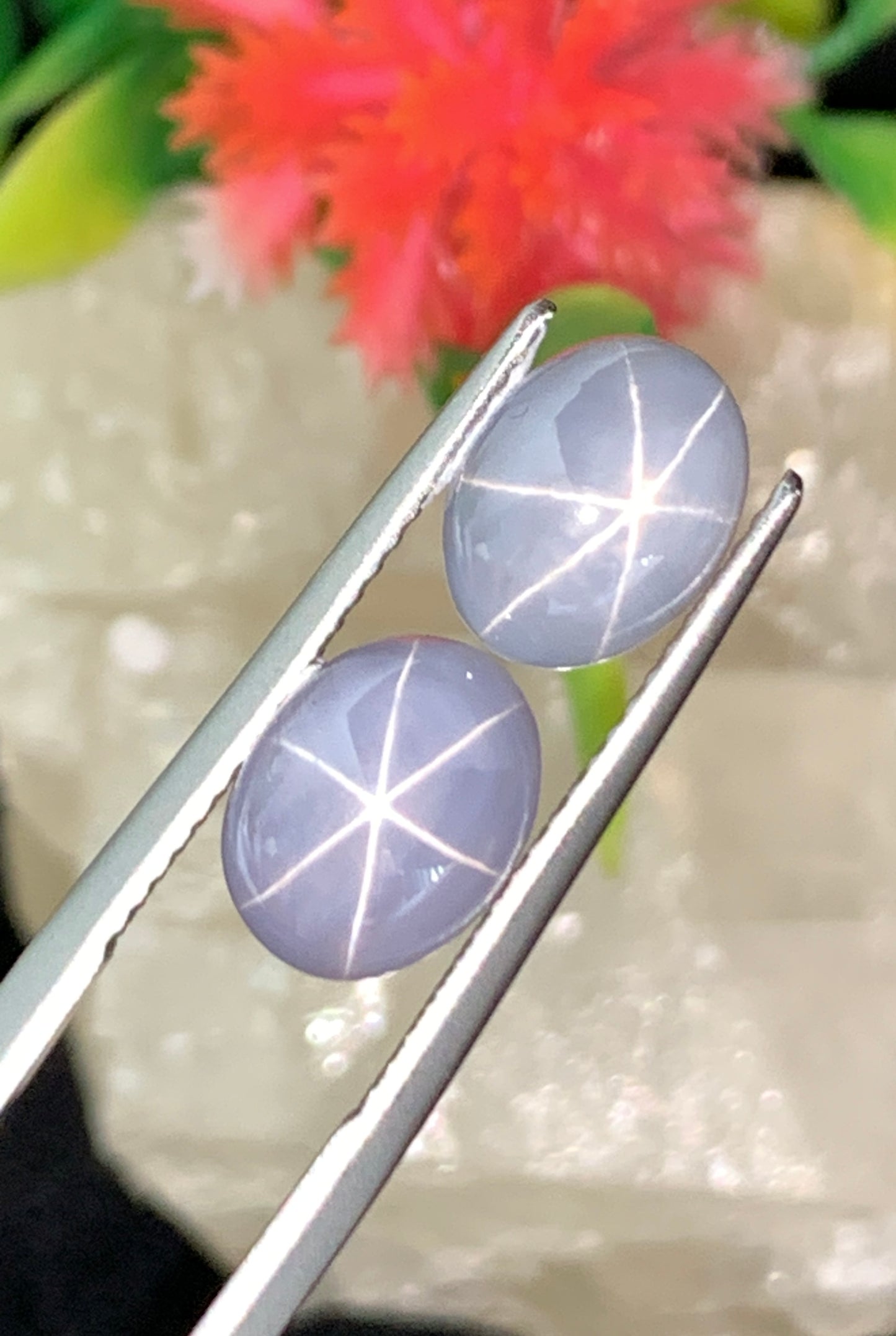 7.18 cts Unheated Star Sapphire Pair