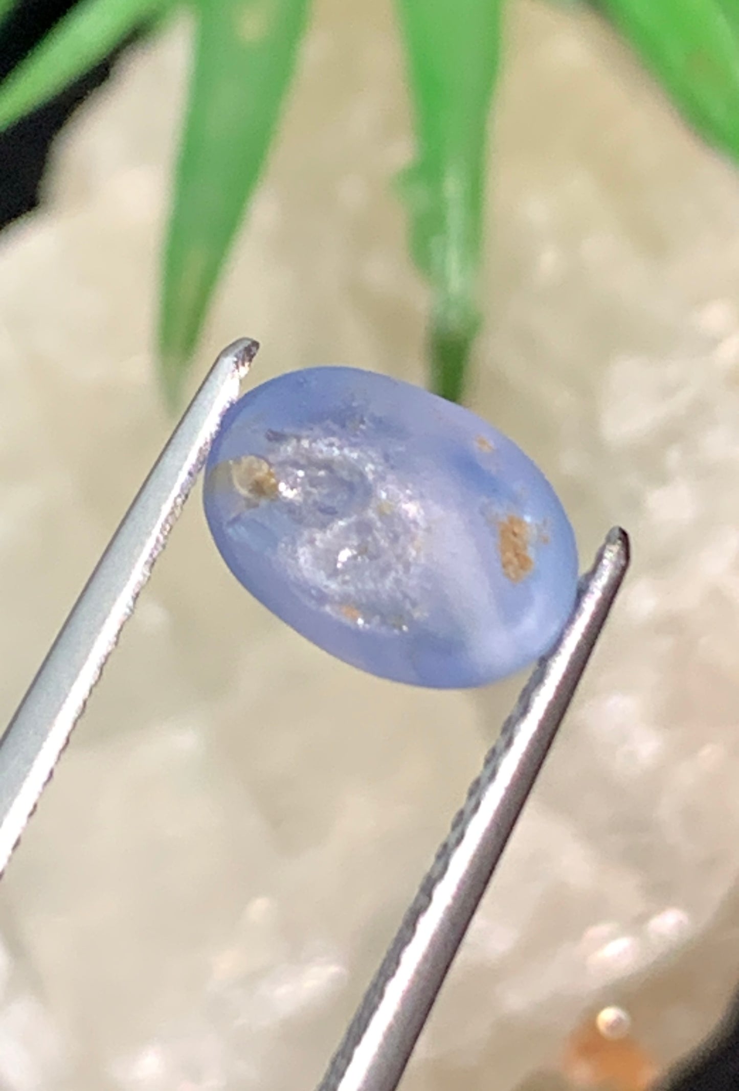 2.96 cts Unheated Star Sapphire