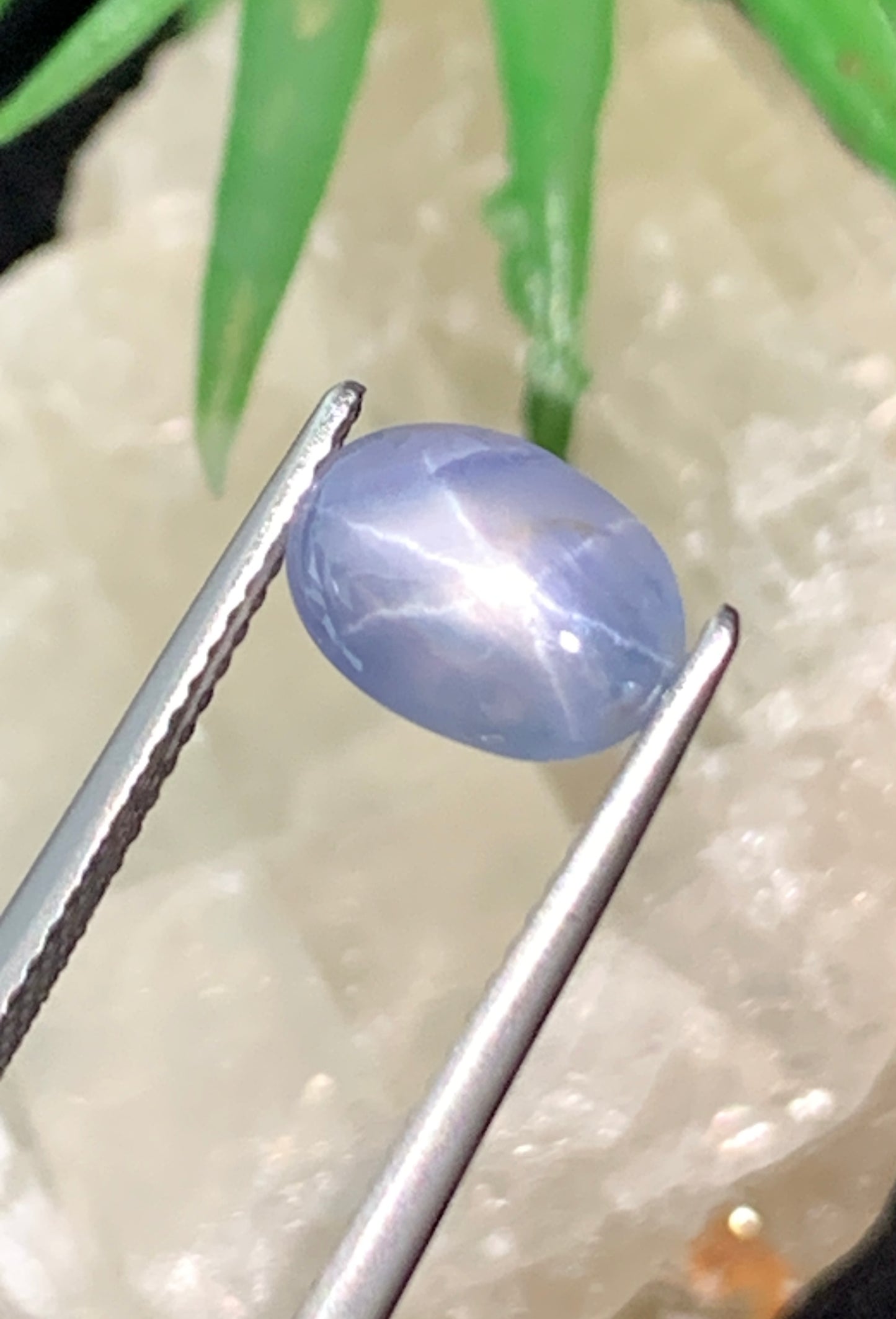 2.96 cts Unheated Star Sapphire