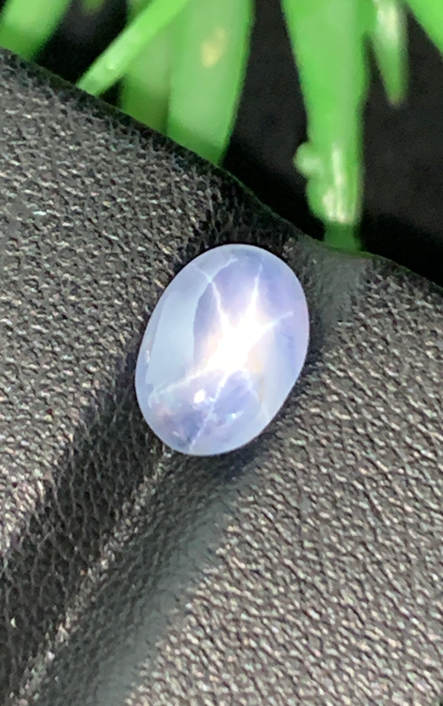 2.96 cts Unheated Star Sapphire