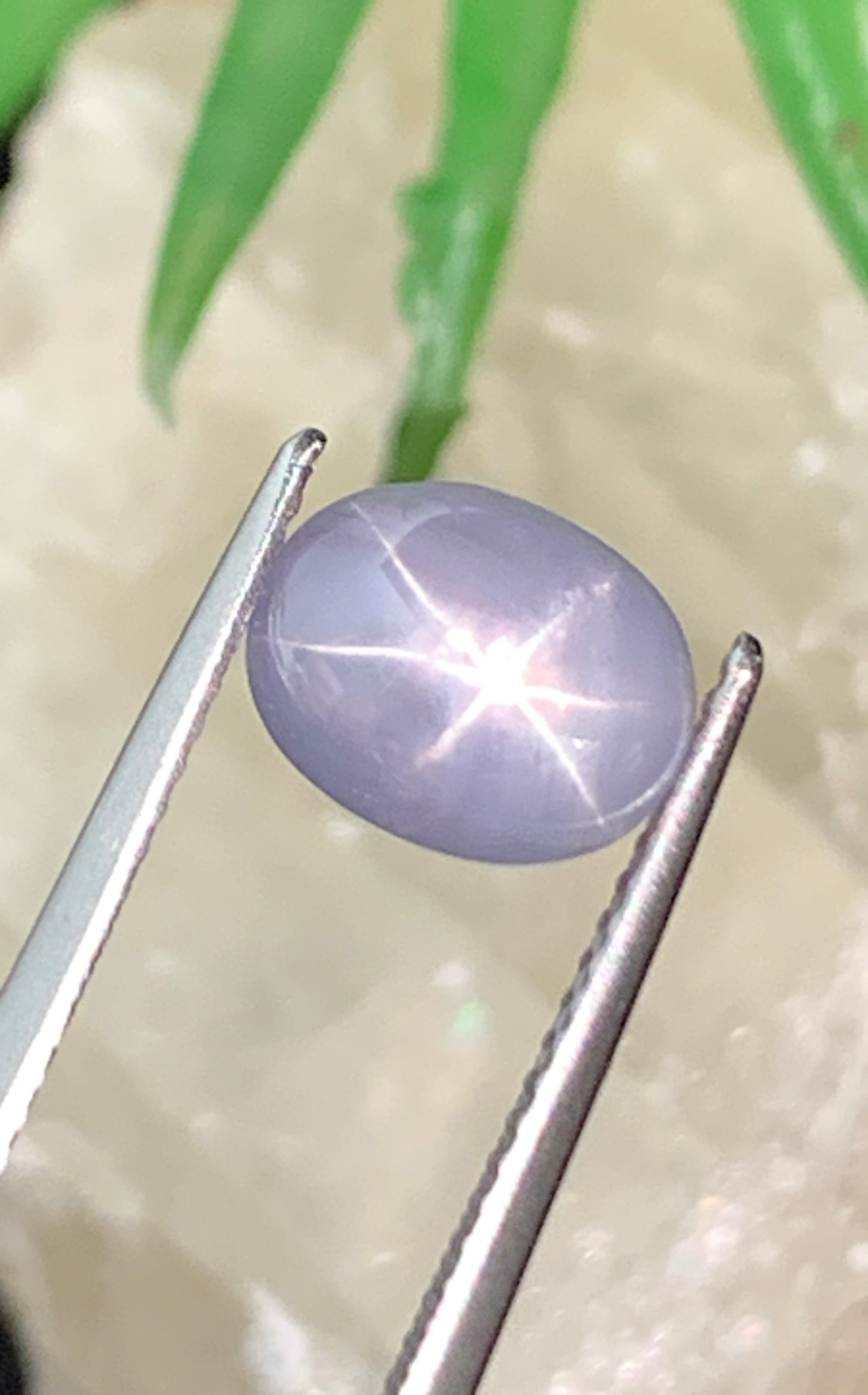 4.43 cts Unheated Star Sapphire