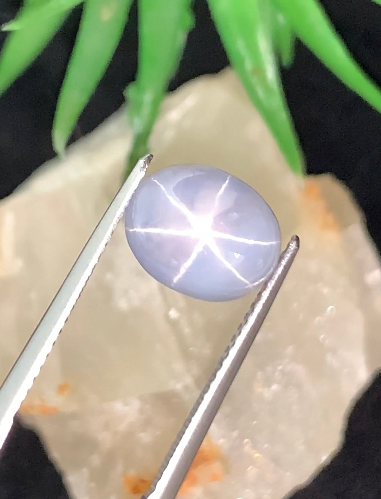 6.16 cts Unheated Star Sapphire