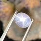 2.24 cts Unheated Star Sapphire