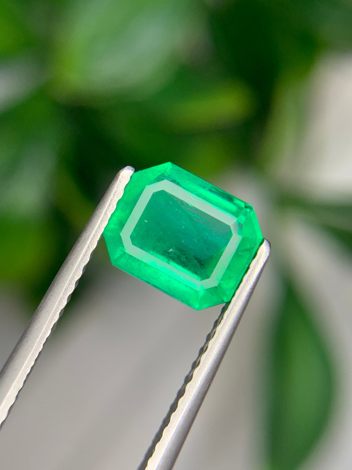 1.66 cts Colombian Emerald.