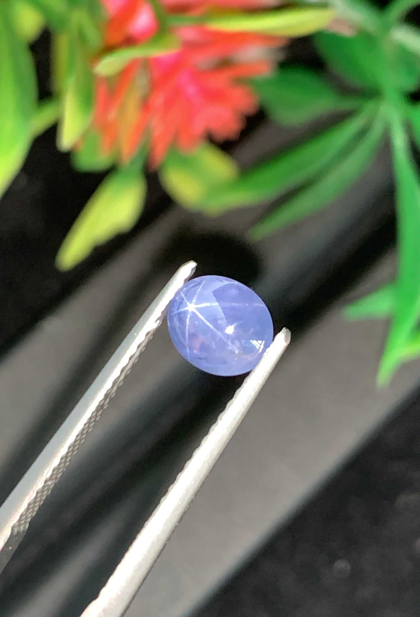 1.42 Unheated Star Sapphire