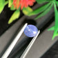 1.42 Unheated Star Sapphire