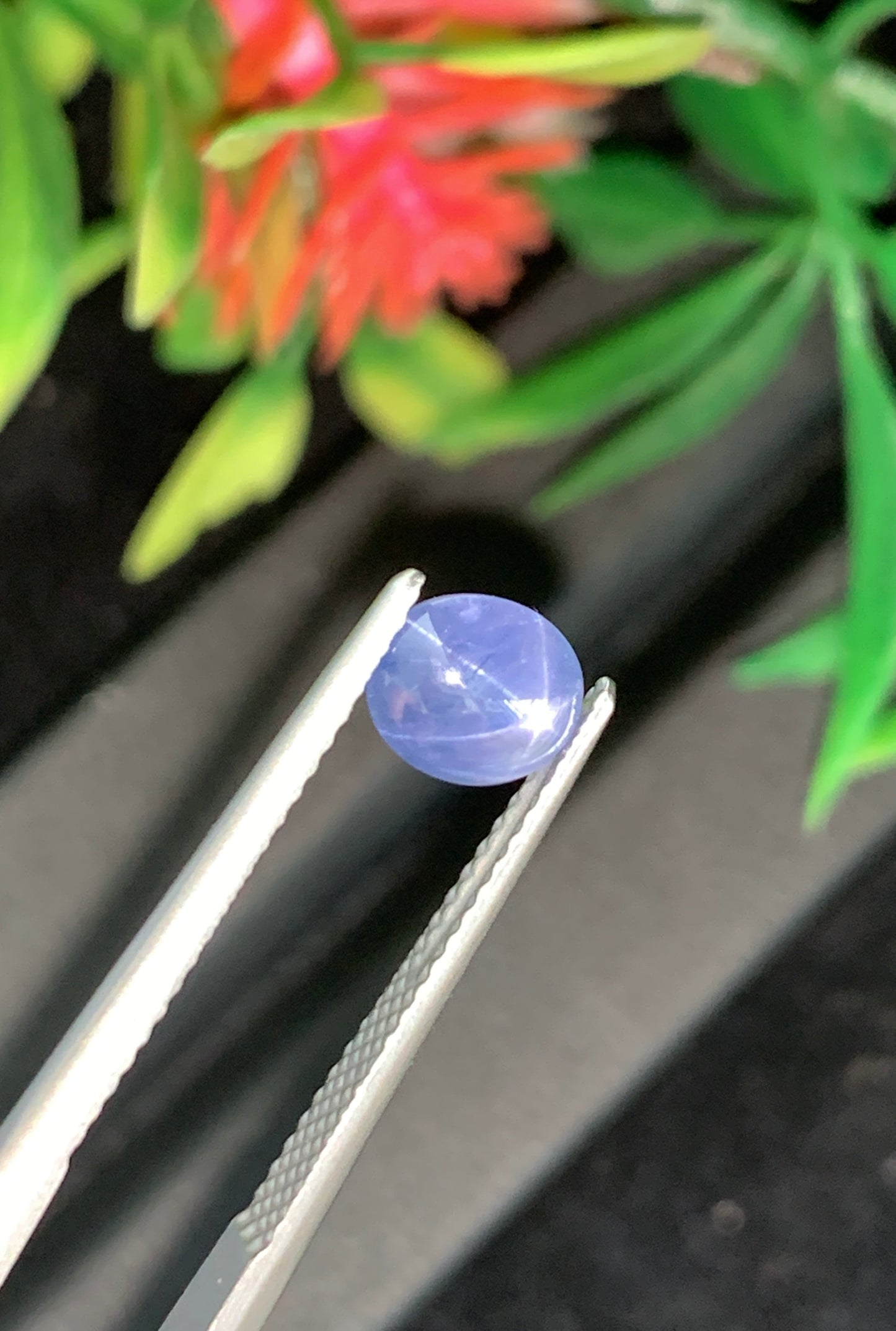 1.42 Unheated Star Sapphire