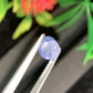 1.42 Unheated Star Sapphire