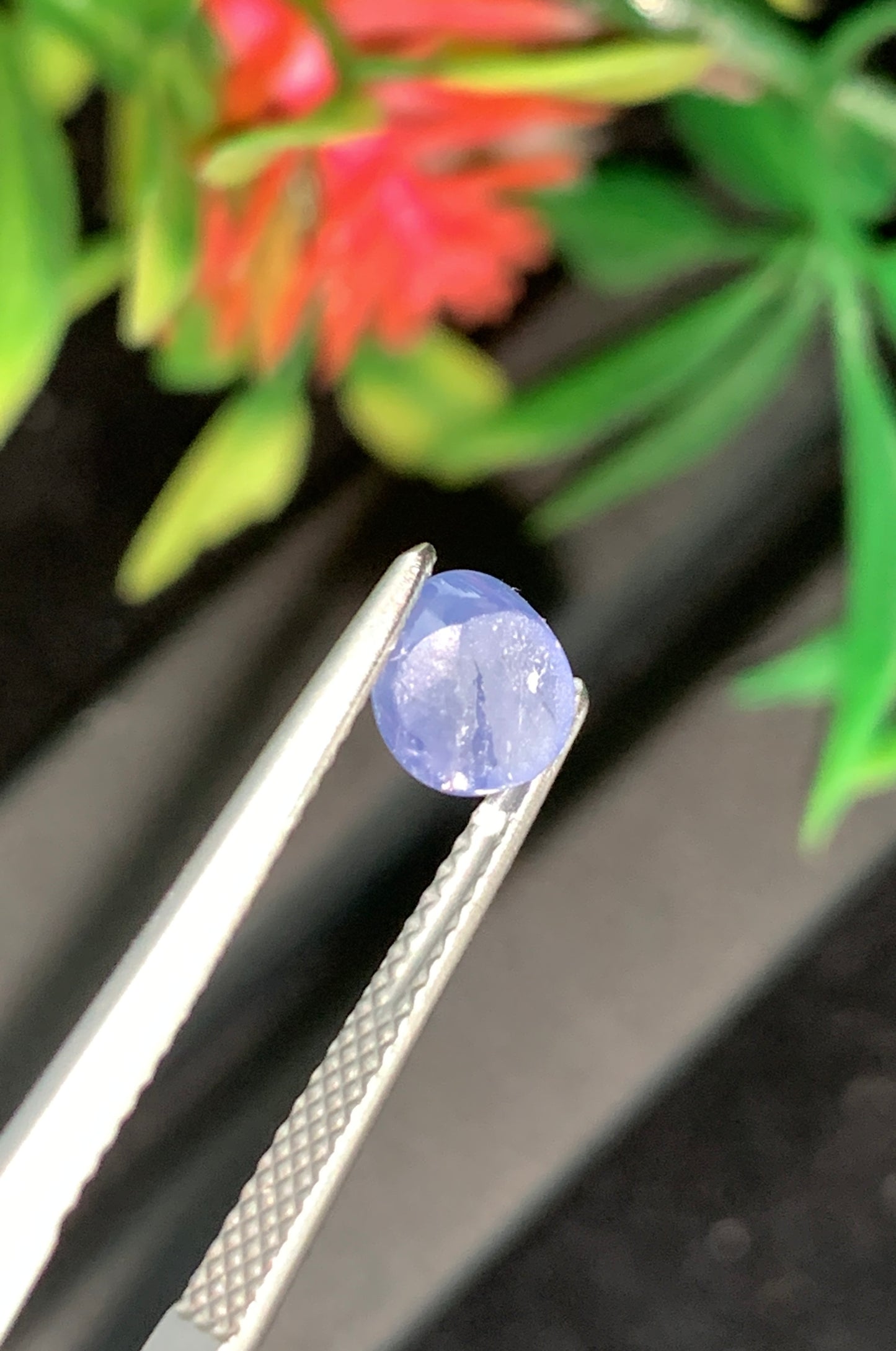 1.42 Unheated Star Sapphire