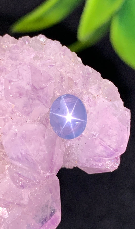 0.83 cts Unheated Star Sapphire, Sri Lanka.